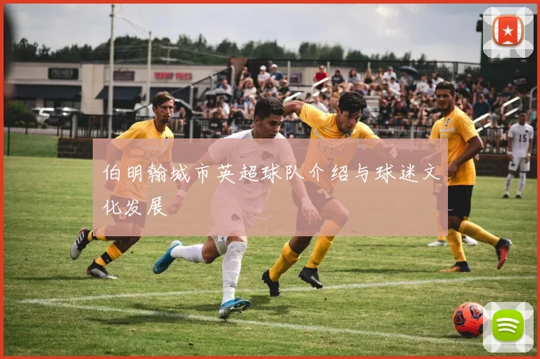 伯明翰城市英超球队介绍与球迷文化发展