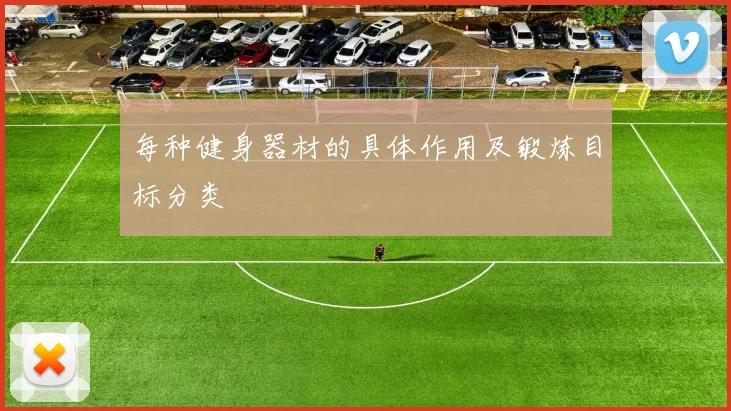 每种健身器材的具体作用及锻炼目标分类