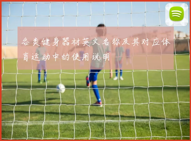 各类健身器材英文名称及其对应体育运动中的使用说明
